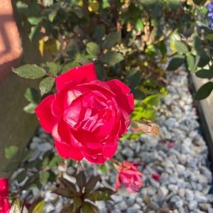 Meet your Posher, Gricelda